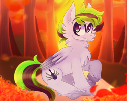 Size: 2500x2000 | Tagged: safe, artist:saveraedae, oc, oc only, oc:nature song, pegasus, pony, autumn, cheek fluff, chest fluff, folded wings, forest, high res, leaves, male, raised hoof, sitting, solo, stallion, unshorn fetlocks, wings