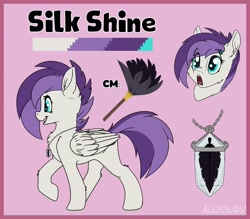 Size: 2000x1750 | Tagged: safe, artist:allyclawz, oc, oc only, oc:silk shine, pegasus, pony, female, mare, reference sheet, solo