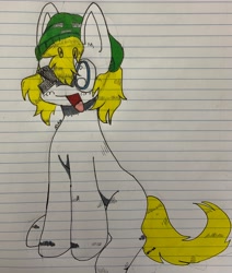 Size: 2590x3050 | Tagged: safe, artist:carcinisation, oc, oc only, oc:fargate, earth pony, pony, hat, high res, lined paper, one eye closed, simple background, solo, traditional art, wink