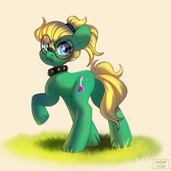 Size: 3000x3000 | Tagged: safe, artist:sugarstar, oc, oc only, oc:professor sugarcube, earth pony, pony, collar, glasses, high res, looking at you, looking back, looking back at you, solo