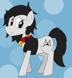 Size: 1568x1704 | Tagged: safe, alternate version, artist:soccy, derpibooru exclusive, oc, oc only, oc:double m, earth pony, pony, bell, bell collar, black mane, black tail, blue background, brown eyes, circle background, clothes, collar, crossdressing, earth pony oc, eyelashes, femboy, jacket, looking at you, male, pony oc, simple background, smiling, smiling at you, solo, stallion, stallion oc, tail, white coat