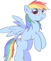 Size: 1000x1200 | Tagged: safe, artist:leo19969525, rainbow dash, pegasus, pony, g4, cute, dashabetes, eye clipping through hair, female, mare, simple background, smiling, spread wings, white background, wings