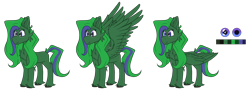 Size: 6472x2371 | Tagged: safe, artist:tizhonolulu, oc, oc only, oc:brocc, pegasus, pony, cheek fluff, chest fluff, reference, reference sheet, simple background, solo, transparent background, unshorn fetlocks, wings