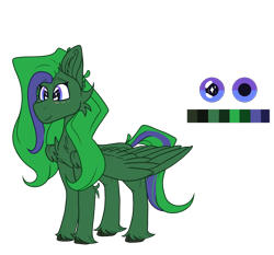 Size: 2545x2371 | Tagged: safe, artist:tizhonolulu, oc, oc only, oc:brocc, pegasus, pony, cheek fluff, chest fluff, ear fluff, high res, reference, reference sheet, simple background, solo, transparent background, unshorn fetlocks, wings