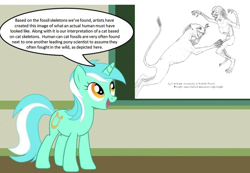 Size: 1284x888 | Tagged: safe, lyra heartstrings, cat, human, pony, unicorn, g4, fossil, human studies101 with lyra, meme