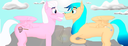 Size: 6951x2535 | Tagged: safe, artist:aurorablue, derpibooru exclusive, oc, oc:love net, oc:wonder stream, pegasus, pony, blaze (coat marking), blushing, boop, cliff, cloud, coat markings, day, facial markings, gay, looking at each other, looking at someone, male, noseboop, pegasus oc, sky, stallion