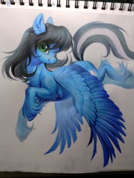 Size: 1536x2048 | Tagged: safe, artist:paipaishuaige, oc, oc only, pegasus, pony, chest fluff, flying, looking at you, smiling, solo, spread wings, traditional art, unshorn fetlocks, wings