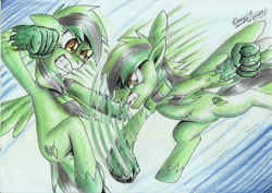 Size: 2332x1654 | Tagged: safe, artist:3500joel, oc, oc only, oc:diamond green, pegasus, pony, artificial hands, duo, female, fight, gritted teeth, male, pegasus oc, speed lines
