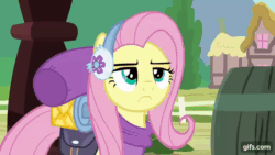 Size: 640x360 | Tagged: safe, screencap, fluttershy, pegasus, pony, dungeons and discords, g4, season 6, animated, bag, female, fluttershy is not amused, frown, gif, gifs.com, mare, raised eyebrow, saddle bag, solo, unamused