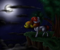 Size: 3000x2500 | Tagged: safe, artist:lunciakkk, oc, oc only, chest fluff, cliff, cloud, commission, high res, moon, night, solo, stars, tree