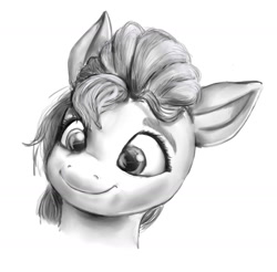 Size: 1280x1258 | Tagged: safe, artist:nedemai, sunny starscout, earth pony, pony, g5, my little pony: a new generation, bust, female, mare, monochrome, portrait, simple background, smiling, solo