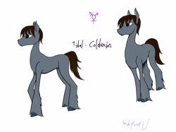 Size: 4000x2992 | Tagged: safe, oc, earth pony, pony, transgender