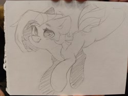 Size: 2560x1925 | Tagged: safe, artist:dodsie, oc, oc only, earth pony, pony, female, mare, monochrome, pencil drawing, solo, traditional art