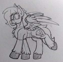Size: 2707x2674 | Tagged: safe, artist:drheartdoodles, oc, oc only, oc:dr.heart, clydesdale, pegasus, pony, chest fluff, high res, male, smiling, spread wings, stallion, traditional art, walking, wings