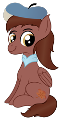 Size: 1491x2900 | Tagged: safe, artist:sweetielover, oc, oc only, oc:autumn rosewood, pegasus, pony, 2022 community collab, derpibooru community collaboration, beret, clothes, hat, male, pegasus oc, scarf, simple background, sitting, solo, transparent background
