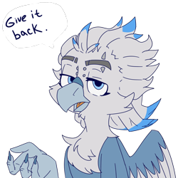 Size: 5000x5000 | Tagged: safe, artist:xasslash, oc, oc only, oc:flynn the icecold, griffon, cheek fluff, chest fluff, embarrassed, eyebrow piercing, eyebrow slit, eyebrows, looking at you, piercing, simple background, solo, text, transparent background