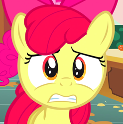 Size: 1066x1080 | Tagged: safe, screencap, apple bloom, pinkie pie, earth pony, pony, call of the cutie, g4, cropped, female, filly, mare