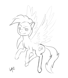 Size: 1671x1920 | Tagged: safe, artist:underwoodart, oc, oc:shooting star, pegasus, pony, flight of the valkyrie, the tale of two sisters, black and white, digital art, flying, grayscale, monochrome, pegasus oc, simple background, sketch, smug, solo, spread wings, white background, wings, wip
