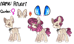 Size: 4000x2364 | Tagged: safe, artist:enifersuch, oc, oc only, earth pony, pony, bald, base used, earth pony oc, female, reference sheet, simple background, transparent background