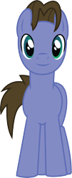 Size: 726x1789 | Tagged: safe, artist:wissle, derpibooru exclusive, oc, oc only, earth pony, pony, 2022 community collab, derpibooru community collaboration, adoptable, looking at you, male, simple background, solo, stallion, transparent background, vector