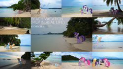 Size: 1280x720 | Tagged: safe, artist:stormxf3, edit, editor:quoterific, applejack, bon bon, coco crusoe, cotton cloudy, fluttershy, linky, pinkie pie, rainbow dash, rarity, shoeshine, spike, sweetie drops, twilight sparkle, alicorn, dragon, earth pony, pegasus, pony, unicorn, g4, ^^, beach, beach vacation (mlp in real life), eyes closed, female, filly, irl, male, mane seven, mane six, mare, photo, smiling, stallion, twilight sparkle (alicorn)