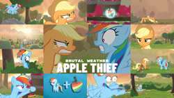 Size: 1280x721 | Tagged: safe, artist:brutalweather studio, edit, editor:quoterific, applejack, rainbow dash, earth pony, pegasus, pony, apple thief (animation), g4, apple, applejack's hat, cowboy hat, female, flying, food, hat, mare, open mouth, show accurate, tree