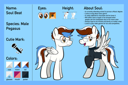 Size: 1920x1275 | Tagged: safe, artist:alexdti, oc, oc only, oc:soul beat, pegasus, pony, brown eyes, clothes, folded wings, full body, glasses, lidded eyes, looking back, male, multicolored mane, multicolored tail, open mouth, open smile, pegasus oc, raised hoof, reference sheet, smiling, solo, spread wings, stallion, standing, tail, wings