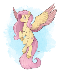 Size: 1818x2217 | Tagged: safe, artist:birdoffnorth, fluttershy, pegasus, pony, g4, cheek fluff, chest fluff, colored hooves, colored wings, colored wingtips, female, flying, high res, looking away, mare, solo, spread wings, two toned wings, unshorn fetlocks, wings