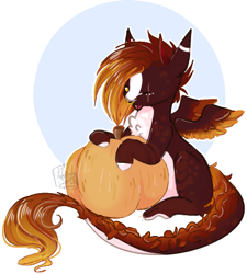 Size: 412x457 | Tagged: safe, artist:maerishi, oc, pegasus, pony, female, mare, pumpkin, simple background, solo, transparent background