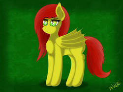 Size: 1600x1200 | Tagged: safe, artist:wanderer, oc, oc only, oc:software pushulka, bat pony, pony, bat pony oc, female