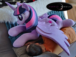 Size: 1280x975 | Tagged: safe, artist:purplenebulastudios, twilight sparkle, alicorn, human, pony, g4, irl, irl human, life size, photo, plushie, twilight sparkle (alicorn)