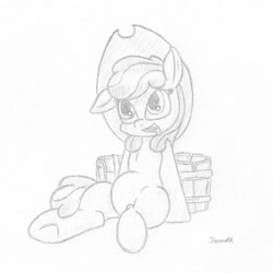 Size: 1200x1200 | Tagged: safe, artist:ramott, apple bloom, earth pony, pony, g4, buckeet, female, filly, hat, solo, teenage apple bloom