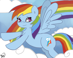 Size: 1000x800 | Tagged: safe, artist:twilightmew16, rainbow dash, pegasus, pony, g4, backwards cutie mark, chest fluff, cloud, female, flying, rainbow, solo