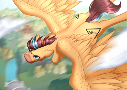 Size: 3508x2480 | Tagged: safe, artist:nuumia, oc, oc only, pegasus, pony, blurry background, both cutie marks, determined, ear fluff, flying, high res, male, signature, solo, spread wings, stallion, two toned hair, wings