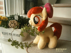 Size: 1000x750 | Tagged: safe, artist:hipsterowlet, apple bloom, earth pony, pony, g4, female, filly, irl, photo, plushie, solo