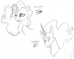 Size: 1994x1584 | Tagged: safe, artist:ask-y, oc, oc only, hybrid, pony, unicorn, angler seapony, bust, duo, eyelashes, fangs, horn, interspecies offspring, male, offspring, parent:discord, parent:princess celestia, parent:princess luna, parent:scorpan, parents:lunacord, smiling, stallion, traditional art, unicorn oc