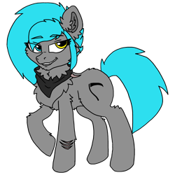 Size: 2500x2500 | Tagged: safe, artist:sorajona, oc, oc only, oc:sorajona, oc:sorajona darkwing, pegasus, pony, 2022 community collab, derpibooru community collaboration, chest fluff, female, grey fur, grin, heterochromia, high res, mare, neckerchief, pegasus oc, scar, scene hair, simple background, smiling, solo, transparent background, wingless