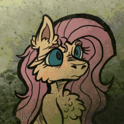 Size: 720x720 | Tagged: safe, artist:deidad dissitum, fluttershy, pegasus, pony, g4, animated, cheek fluff, chest fluff, ear fluff, eyebrows, eyelashes, female, frame by frame, funny face, gif, happy, hooves, looking at you, mare, solo, spread wings, tongue out, unshorn fetlocks, wings