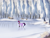 Size: 3250x2500 | Tagged: safe, artist:vezja, twilight sparkle, pony, unicorn, g4, bush, christmas, clothes, cutie mark, earmuffs, eyes closed, female, forest, high res, holiday, horn, ice, ice skates, ice skating, lake, mare, reflection, scarf, snow, solo, tree, unicorn twilight, winter