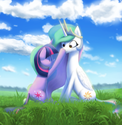 Size: 2173x2231 | Tagged: safe, artist:suhar, princess celestia, twilight sparkle, alicorn, pony, unicorn, g4, ^^, boop, butt, cloud, crown, cute, cutelestia, duo, duo female, eyes closed, featured image, female, field, folded wings, frown, grass, high res, horn, jewelry, mare, meadow, misleading thumbnail, missing accessory, momlestia, multicolored mane, outdoors, plot, regalia, sitting, sky, smiling, surprised, tail, twiabetes, unicorn twilight, wide eyes, wings