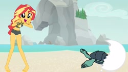 Size: 1920x1080 | Tagged: safe, screencap, sunset shimmer, human, original species, turtle, equestria girls, g4, adorabetes, beach, beach shorts swimsuit, big eyes, bikini, clothes, sunset shimmer's beach shorts swimsuit, swimsuit