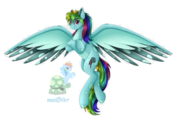 Size: 5860x4008 | Tagged: safe, artist:mailner, rainbow dash, tank, pegasus, pony, tortoise, g4, absurd resolution, crossed arms, female, flying, fusion, grin, looking at you, male, mare, redesign, simple background, smiling, solo, spread wings, transparent background, wings