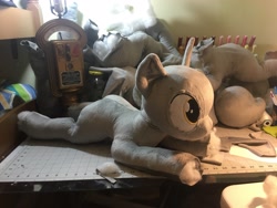 Size: 4032x3024 | Tagged: safe, artist:azgchip, derpy hooves, pony, g4, irl, photo, plushie, wip