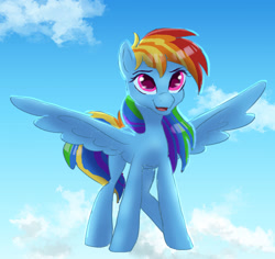 Size: 1280x1207 | Tagged: safe, artist:shaslan, rainbow dash, pegasus, pony, g4, cloud, female, mare, sky, solo, spread wings, wings