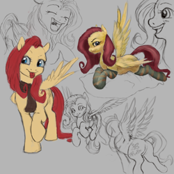 Size: 6000x6000 | Tagged: safe, artist:misstwipietwins, fluttershy, pegasus, pony, g4, absurd file size, absurd resolution, butt, clothes, plot, scarf, sketch, sketch dump, socks, solo