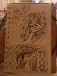Size: 2736x3648 | Tagged: safe, princess luna, twilight sparkle, g4, angry, high res, irl, photo, sketch, traditional art