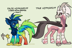 Size: 1280x848 | Tagged: safe, artist:renhorse, oc, oc only, classical hippogriff, hippogriff, simple background