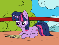 Size: 3300x2550 | Tagged: safe, artist:librarylonging, twilight sparkle, pony, unicorn, g4, balcony, book, cloud, golden oaks library, high res, lying down, reading, solo