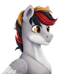 Size: 1017x1072 | Tagged: artist needed, source needed, safe, oc, oc only, oc:primaryforce, pegasus, pony, bust, handsome, simple background, solo, transparent background