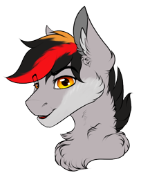Size: 504x617 | Tagged: safe, artist:ondrea, oc, oc only, oc:primaryforce, pegasus, pony, bust, cheek fluff, chest fluff, ear fluff, portrait, simple background, solo, transparent background